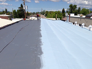 Protective Roof Coating1