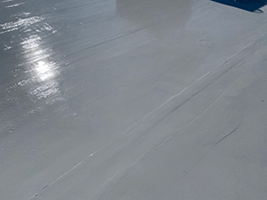Liquid Applied Roofing System - West Grove, PA 2