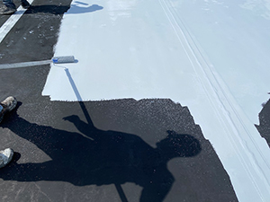 Liquid Applied Roof System – Lincoln University, PA 2
