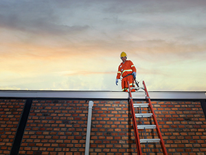 Roof Maintenance Program – Lincoln University, PA 1