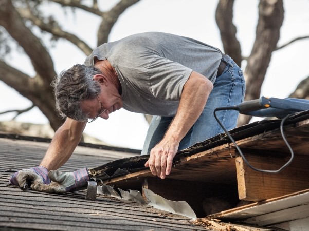 Man leaning over a damaged roof, wearing a gray t-shirt and jeans, using a pry bar and gloves to remove shingles on a sunny day.